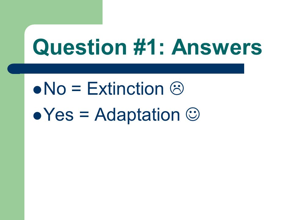 Question #1: Answers No = Extinction  Yes = Adaptation