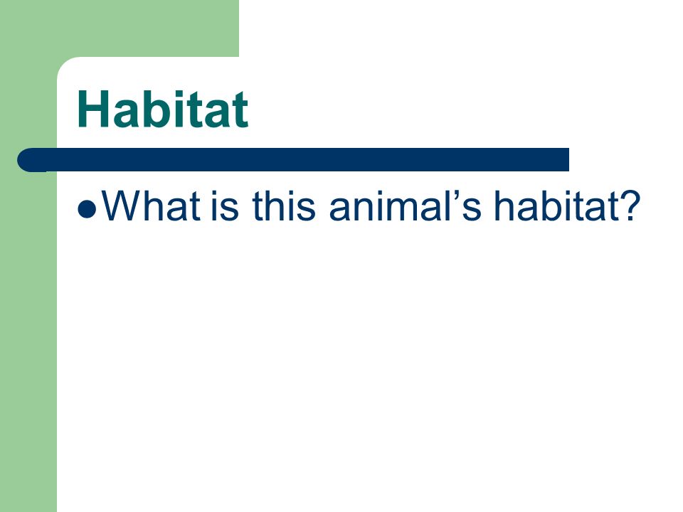Habitat What is this animal’s habitat