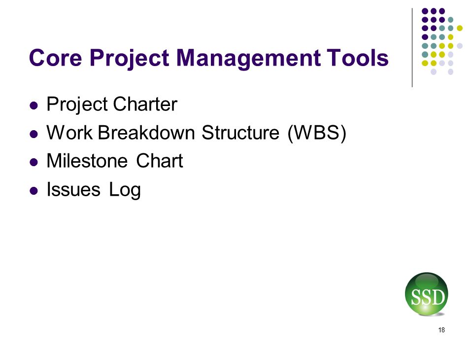project management for the non project manager ppt download