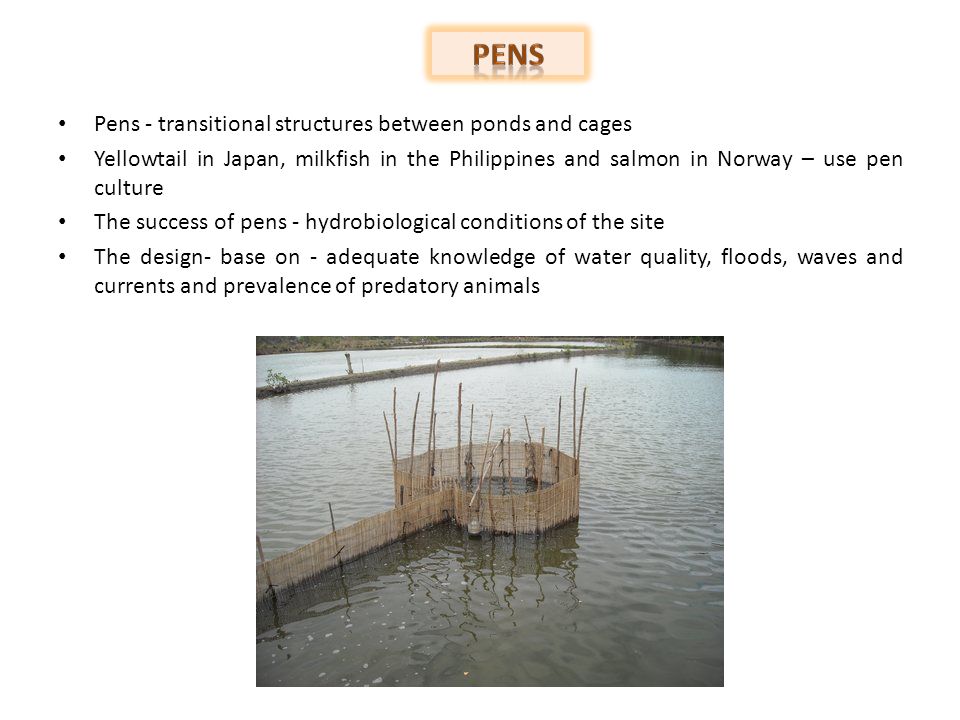 Coastal aqua culture- pond culture; Open sea- cage culture Shellfish culture-  Off bottom, bottom Culture methods- Rafts, long lines and stakes pond  culture. - ppt download
