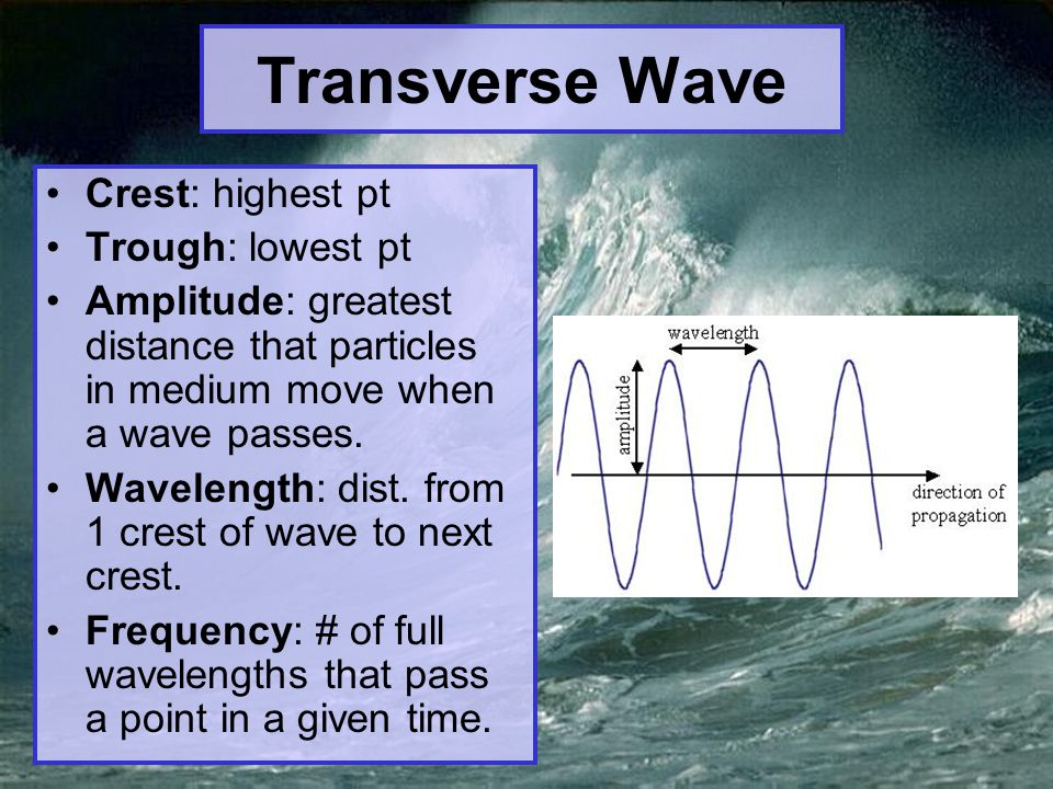 Crest: highest pt Trough: lowest pt Amplitude: greatest distance that particles in medium move when a wave passes.