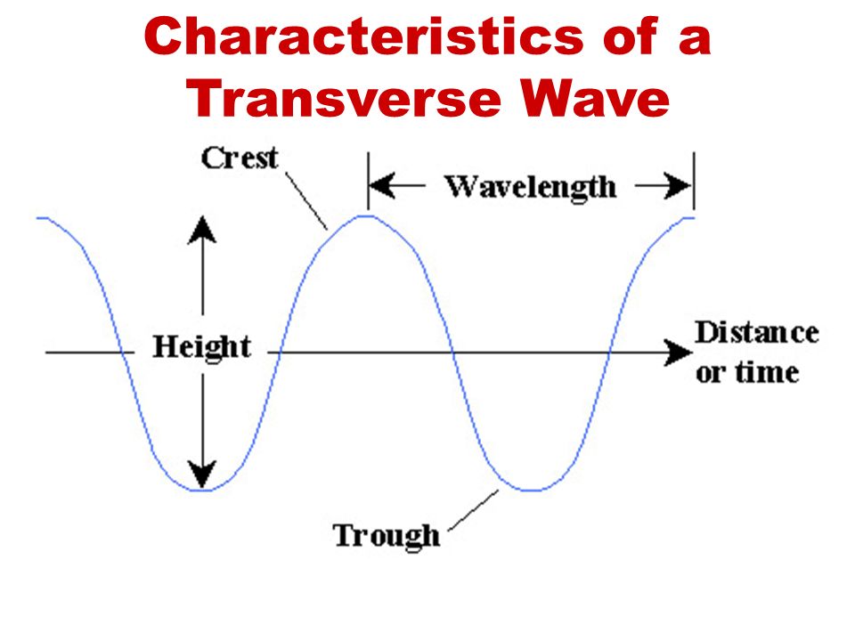 Characteristics of a Transverse Wave