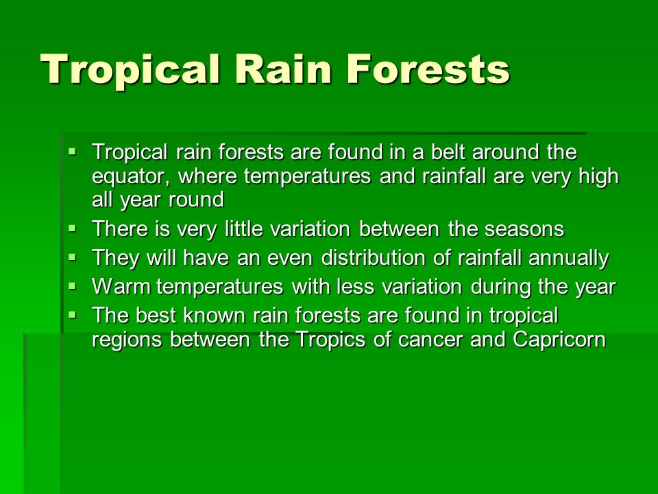 Rainforest Revision Here Is The Answer What Is The Question