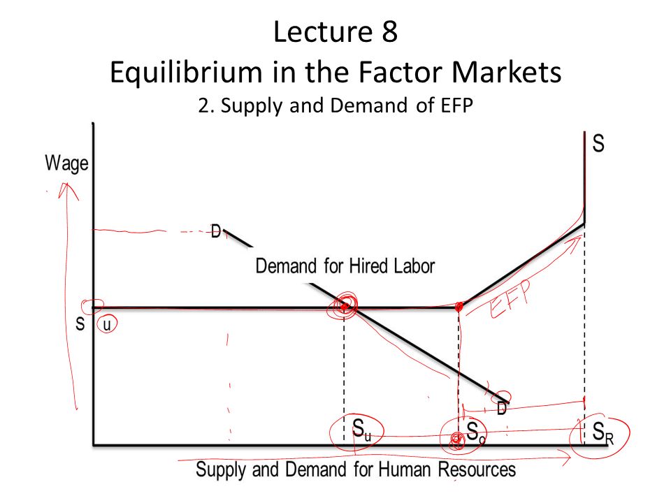 Lecture 8 Equilibrium in the Factor Markets 2. Supply and Demand of EFP