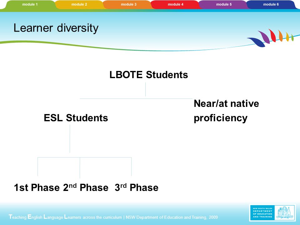 T eaching E nglish L anguage L earners across the curriculum | NSW Department of Education and Training, 2009 Learner diversity LBOTE Students Near/at native ESL Students proficiency 1st Phase 2 nd Phase 3 rd Phase