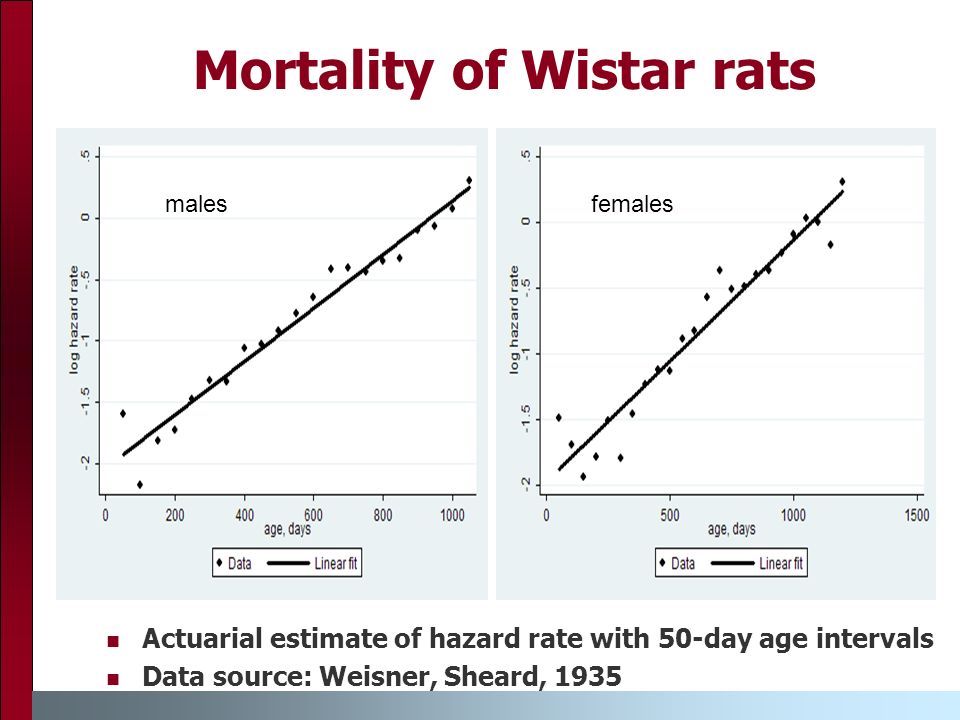 Mortality of Wistar rats Actuarial estimate of hazard rate with 50-day age intervals Data source: Weisner, Sheard, 1935 malesfemales