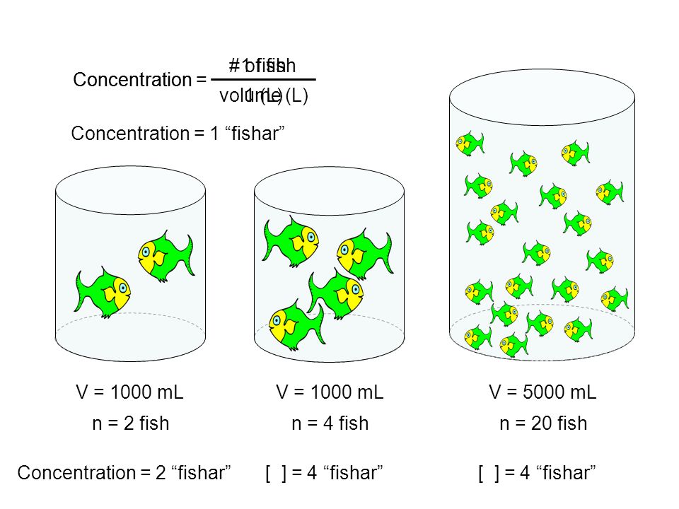 solutions concentration of solutions concentration of fish concentration of solutions