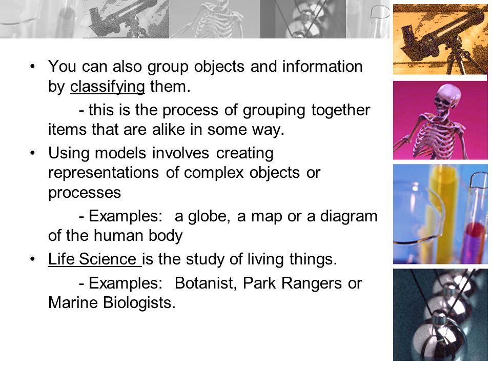 You can also group objects and information by classifying them.