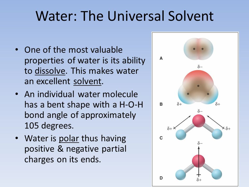 what makes water the universal solvent
