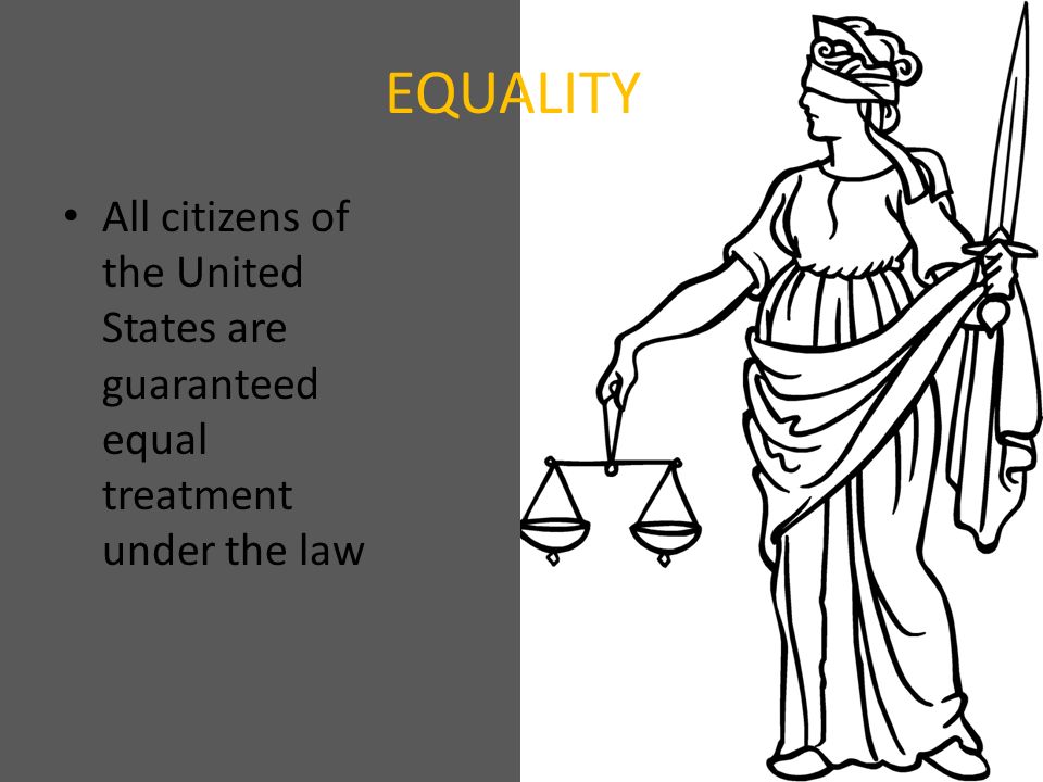 All citizens of the United States are guaranteed equal treatment under the law EQUALITY
