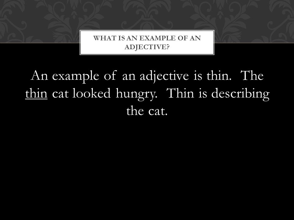 An example of an adjective is thin. The thin cat looked hungry.