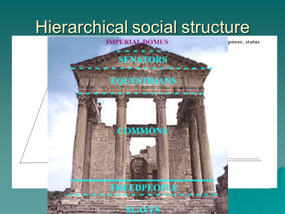 Hierarchical social structure