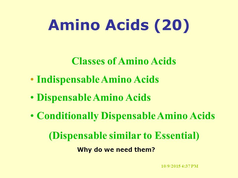10/9/2015 4:37 PM Amino Acids (20) Why do we need them.