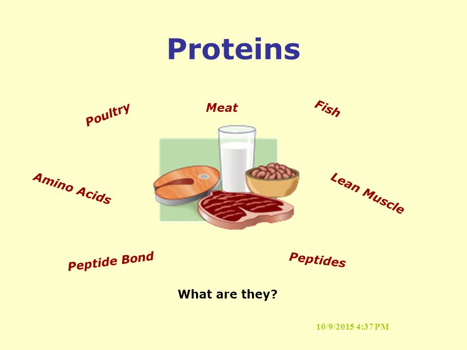 10/9/2015 4:37 PM Proteins What are they.