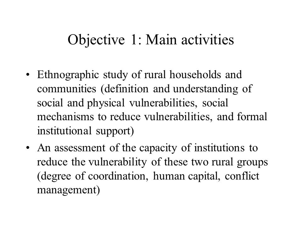 Objective 1: Main activities Ethnographic study of rural households and communities (definition and understanding of social and physical vulnerabilities, social mechanisms to reduce vulnerabilities, and formal institutional support) An assessment of the capacity of institutions to reduce the vulnerability of these two rural groups (degree of coordination, human capital, conflict management)