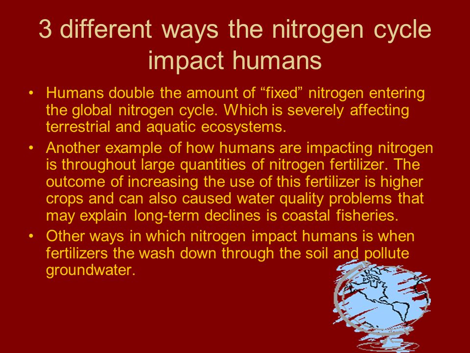 3 different ways the nitrogen cycle impact humans Humans double the amount of fixed nitrogen entering the global nitrogen cycle.