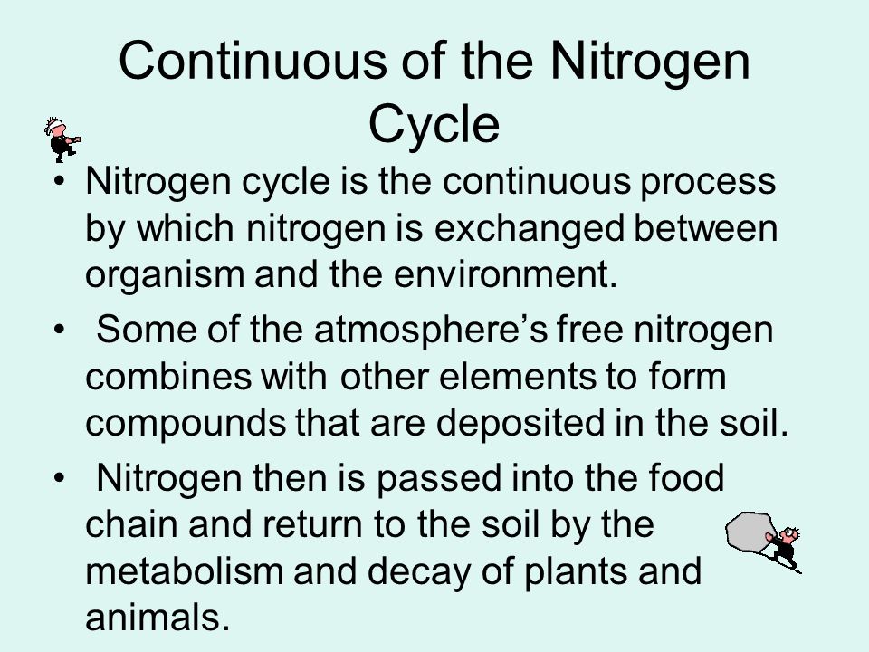 Continuous of the Nitrogen Cycle Nitrogen cycle is the continuous process by which nitrogen is exchanged between organism and the environment.