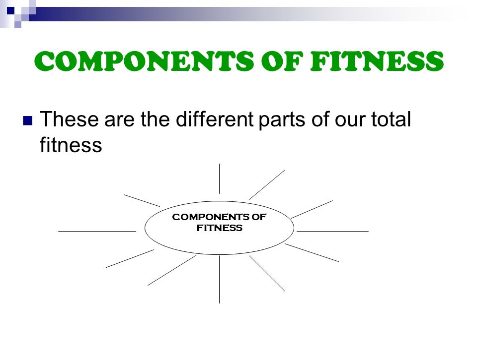 2 Components Of Fitness These Are The Different Parts Of Our Total Fitness Components Of Fitness 2 Components Of Fitness These Are The Different Parts Of Our Total Fitness Components Of Fitness