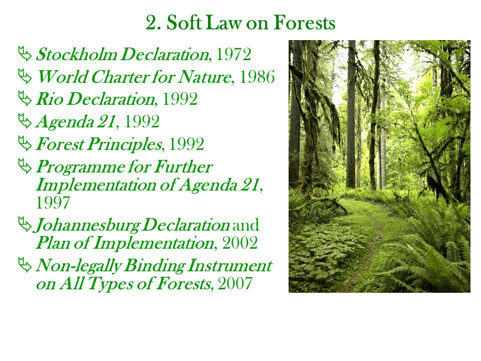 Regime on Forests An Overview. - ppt download