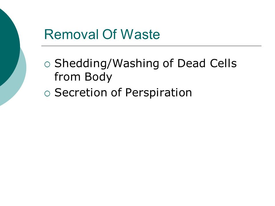 Removal Of Waste  Shedding/Washing of Dead Cells from Body  Secretion of Perspiration