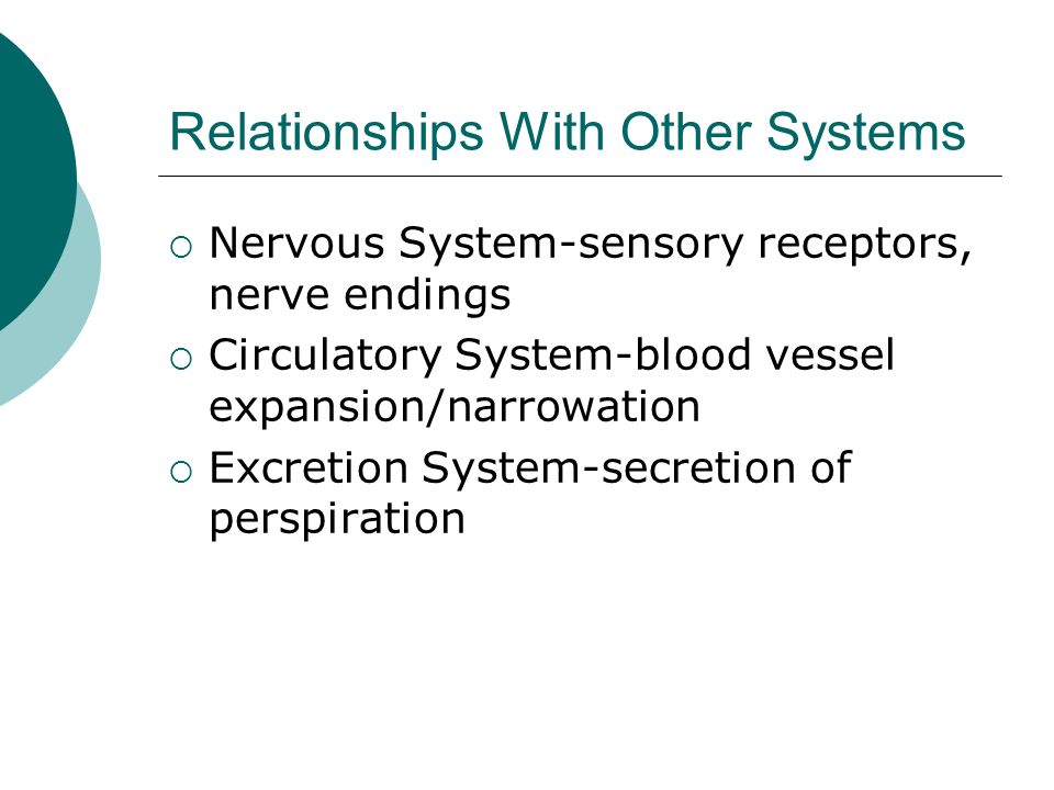 Relationships With Other Systems  Nervous System-sensory receptors, nerve endings  Circulatory System-blood vessel expansion/narrowation  Excretion System-secretion of perspiration