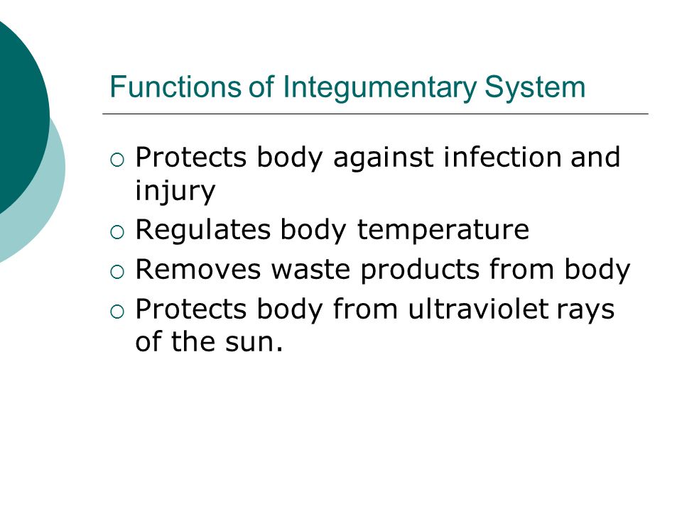 Functions of Integumentary System  Protects body against infection and injury  Regulates body temperature  Removes waste products from body  Protects body from ultraviolet rays of the sun.