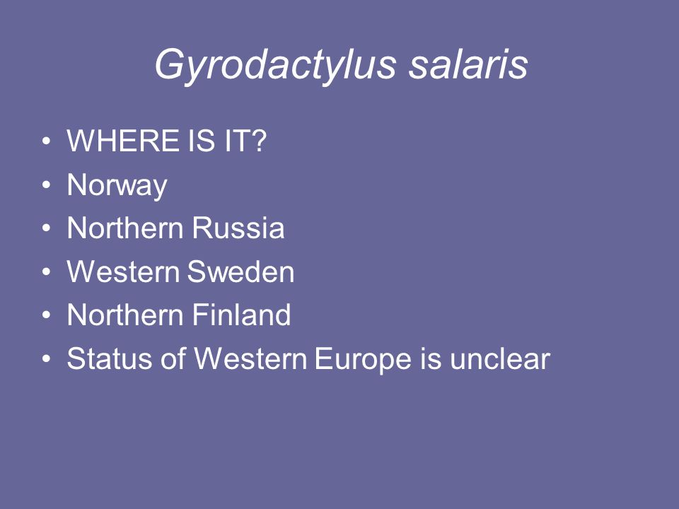 Gyrodactylus salaris WHERE IS IT.