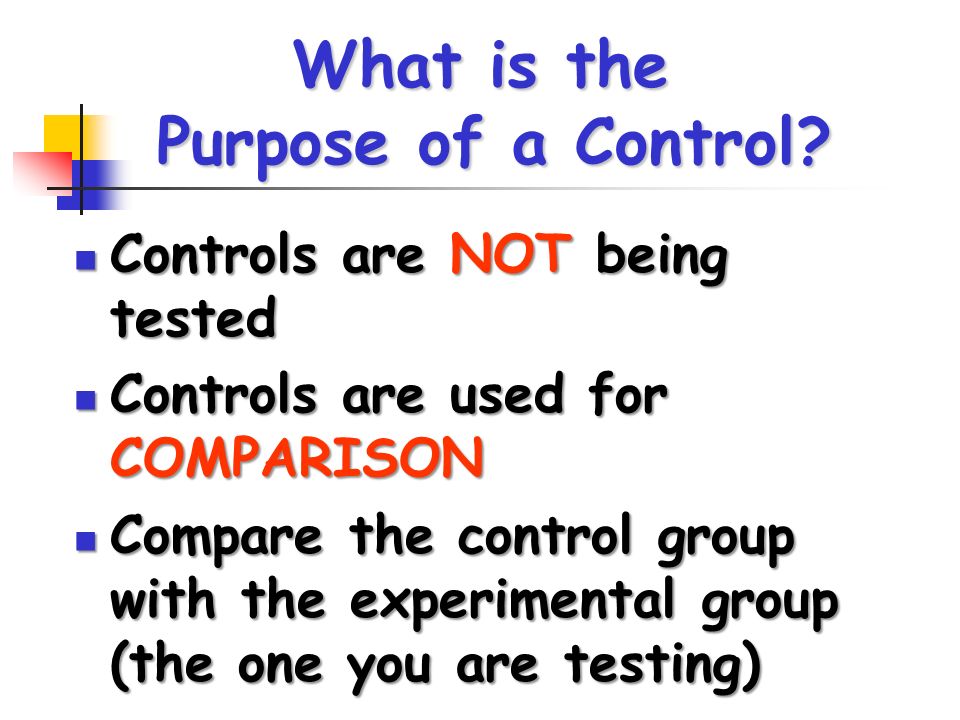 What is the Purpose of a Control.