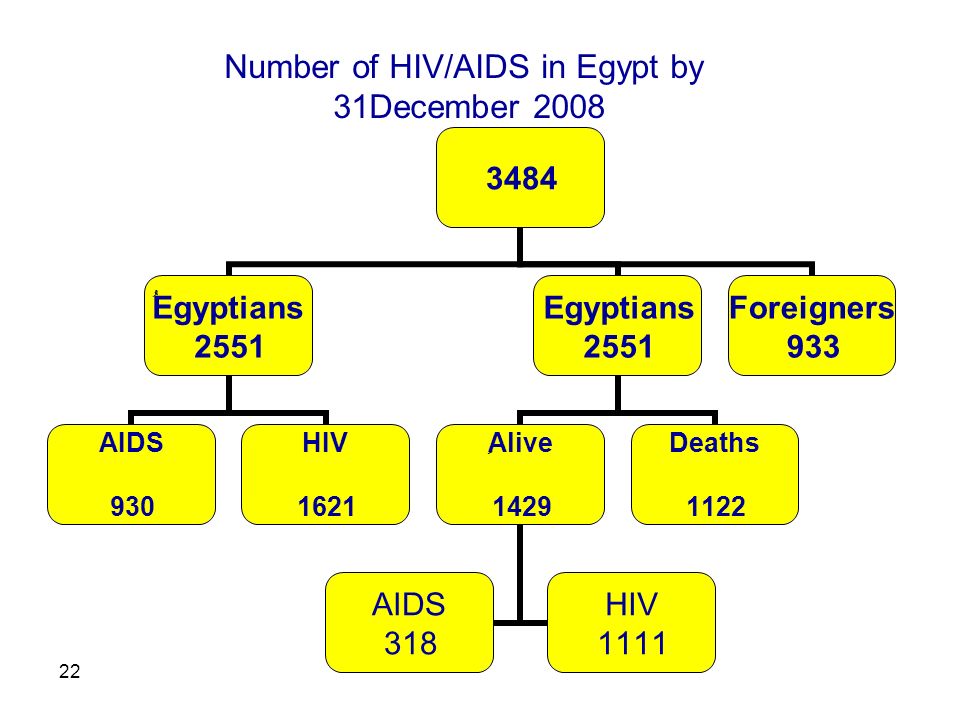 ُEgyptians 2551 AIDS 930 HIV 1621 Egyptians 2551 ِِAlive 1429 AIDS 318 HIV 1111 Deaths 1122 Foreigners 933 Number of HIV/AIDS in Egypt by 31December 2008