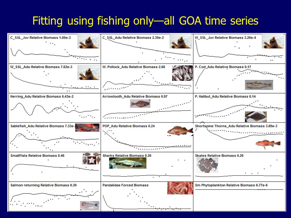 Fitting using fishing only—all GOA time series