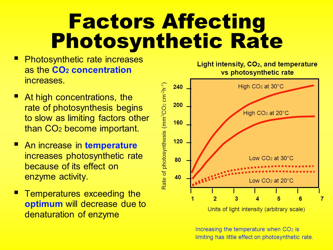 how light intensity affects the rate of photosynthesis