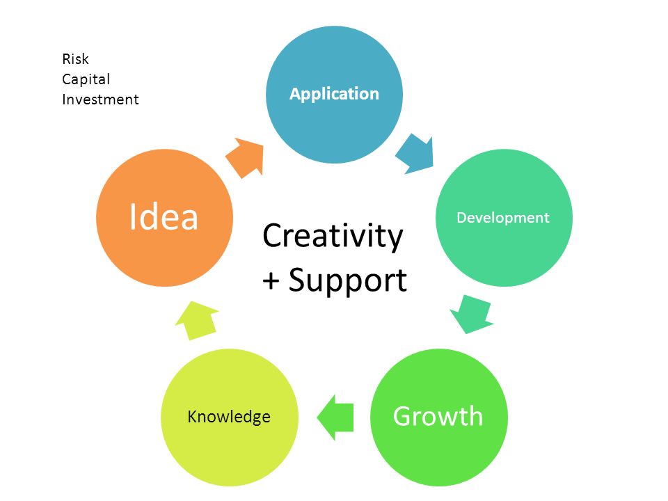Application Development Growth Knowledge Idea Creativity + Support Risk Capital Investment