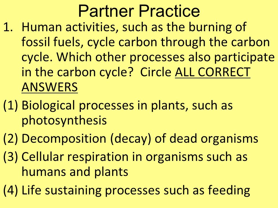Partner Practice 1.Human activities, such as the burning of fossil fuels, cycle carbon through the carbon cycle.