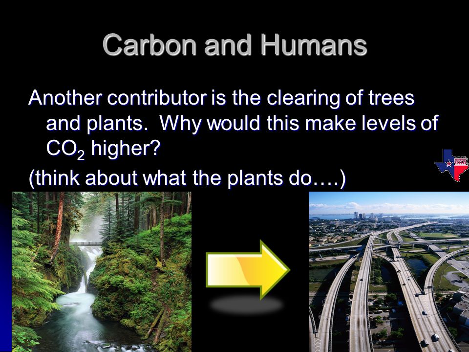 Carbon and Humans Another contributor is the clearing of trees and plants.