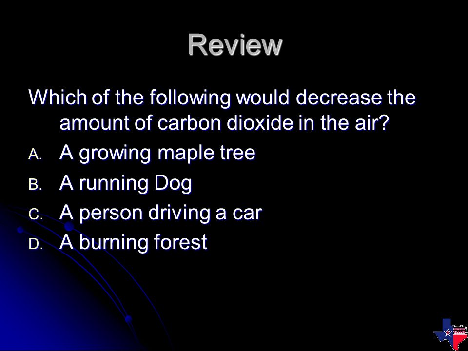 Review Which of the following would decrease the amount of carbon dioxide in the air.