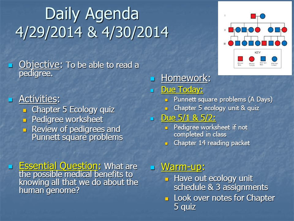 Ecology unit review worksheet answers
