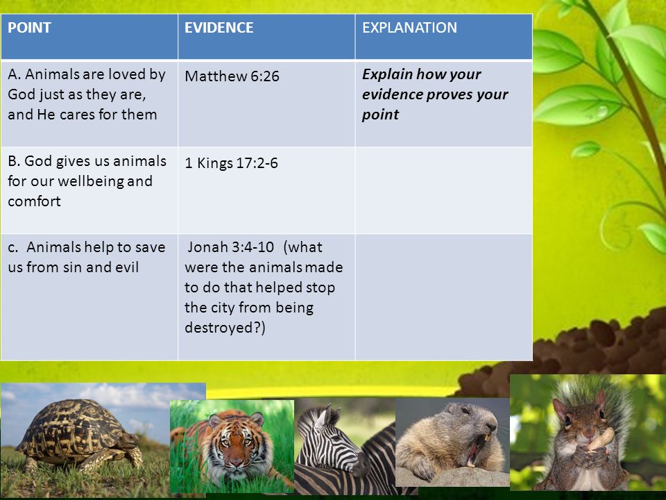 Why are animals important to us? Think of as many ways as you can in 1 min  To explain 4 ways in which Animals are important in the Bible To give  evidence. -