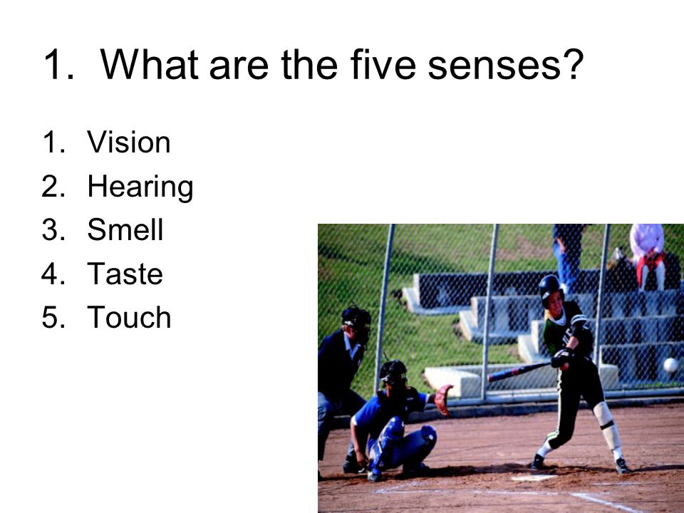 1. What are the five senses 1.Vision 2.Hearing 3.Smell 4.Taste 5.Touch
