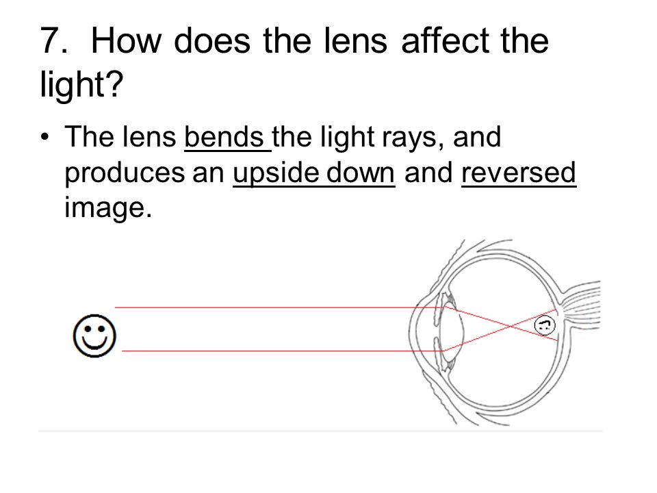 7. How does the lens affect the light.