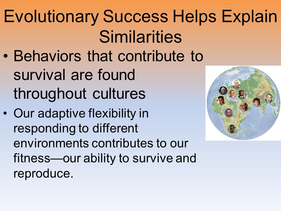 Evolutionary Success Helps Explain Similarities Behaviors that contribute to survival are found throughout cultures Our adaptive flexibility in responding to different environments contributes to our fitness—our ability to survive and reproduce.