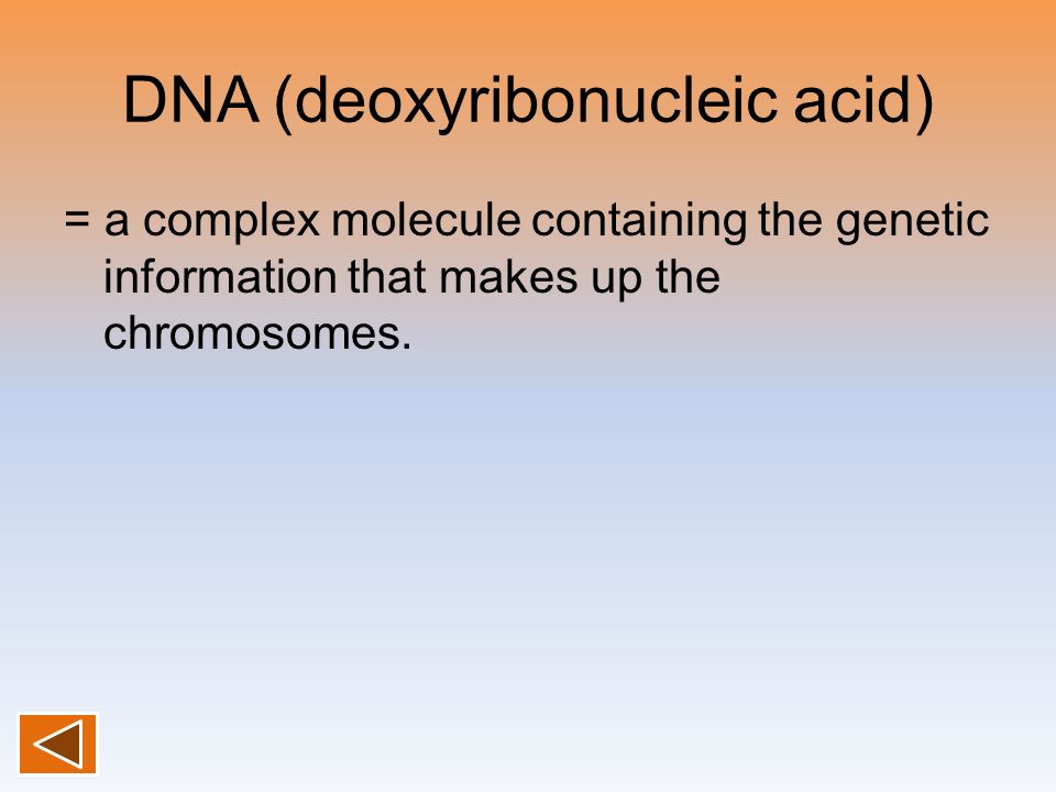DNA (deoxyribonucleic acid) = a complex molecule containing the genetic information that makes up the chromosomes.