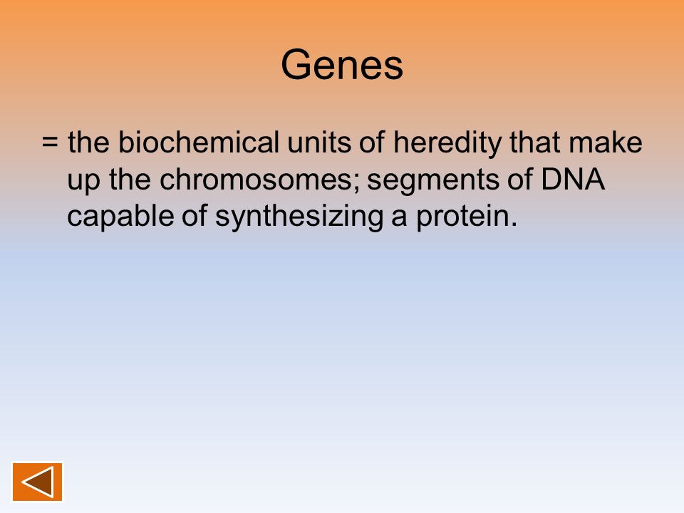 Genes = the biochemical units of heredity that make up the chromosomes; segments of DNA capable of synthesizing a protein.