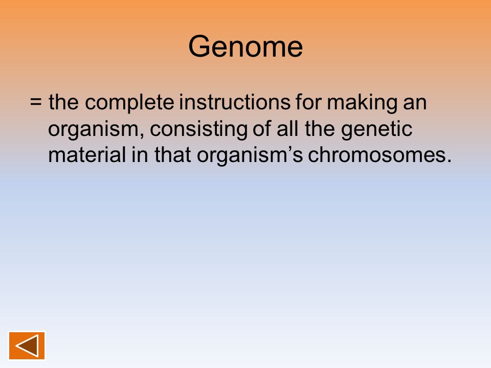 Genome = the complete instructions for making an organism, consisting of all the genetic material in that organism’s chromosomes.
