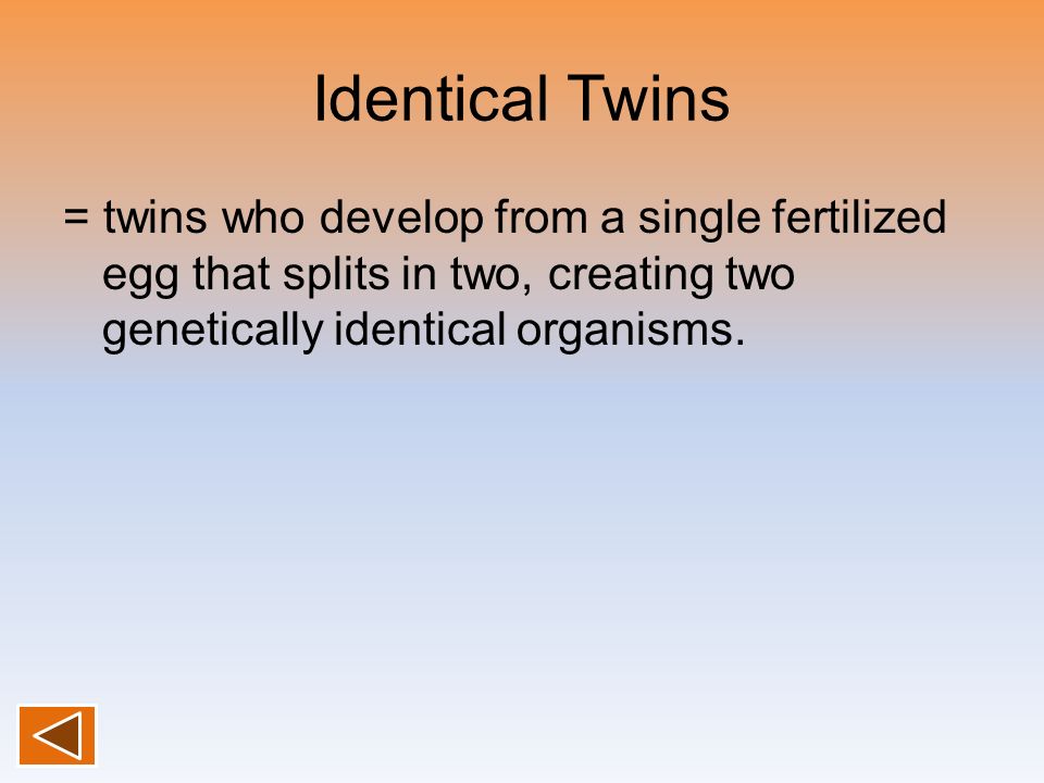 Identical Twins = twins who develop from a single fertilized egg that splits in two, creating two genetically identical organisms.