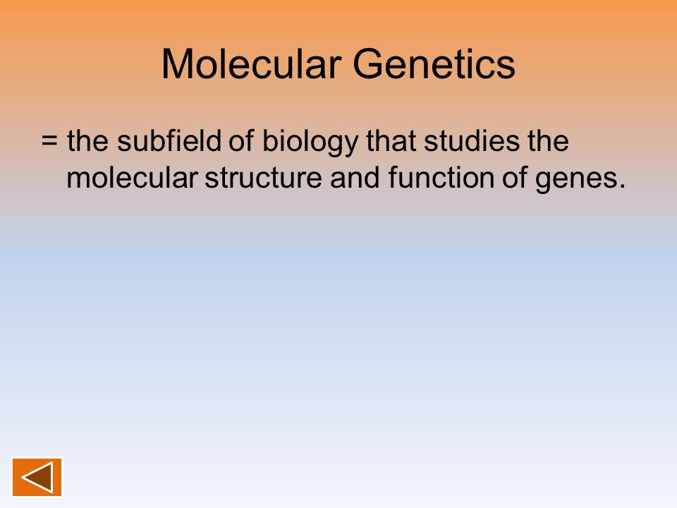 Molecular Genetics = the subfield of biology that studies the molecular structure and function of genes.
