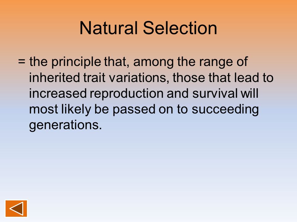 Natural Selection = the principle that, among the range of inherited trait variations, those that lead to increased reproduction and survival will most likely be passed on to succeeding generations.