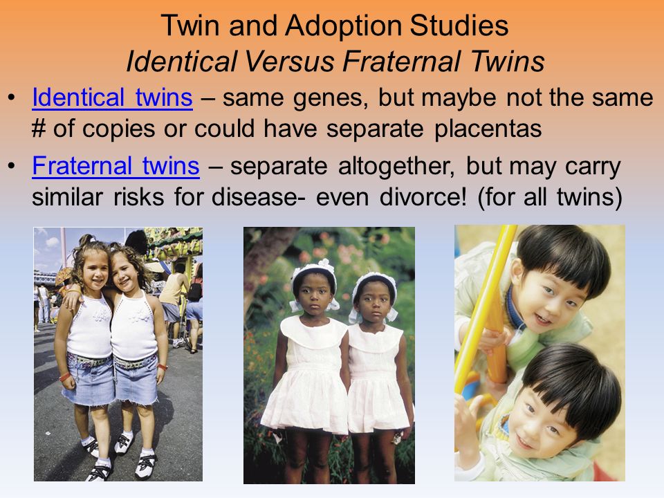 Twin and Adoption Studies Identical Versus Fraternal Twins Identical twins – same genes, but maybe not the same # of copies or could have separate placentasIdentical twins Fraternal twins – separate altogether, but may carry similar risks for disease- even divorce.