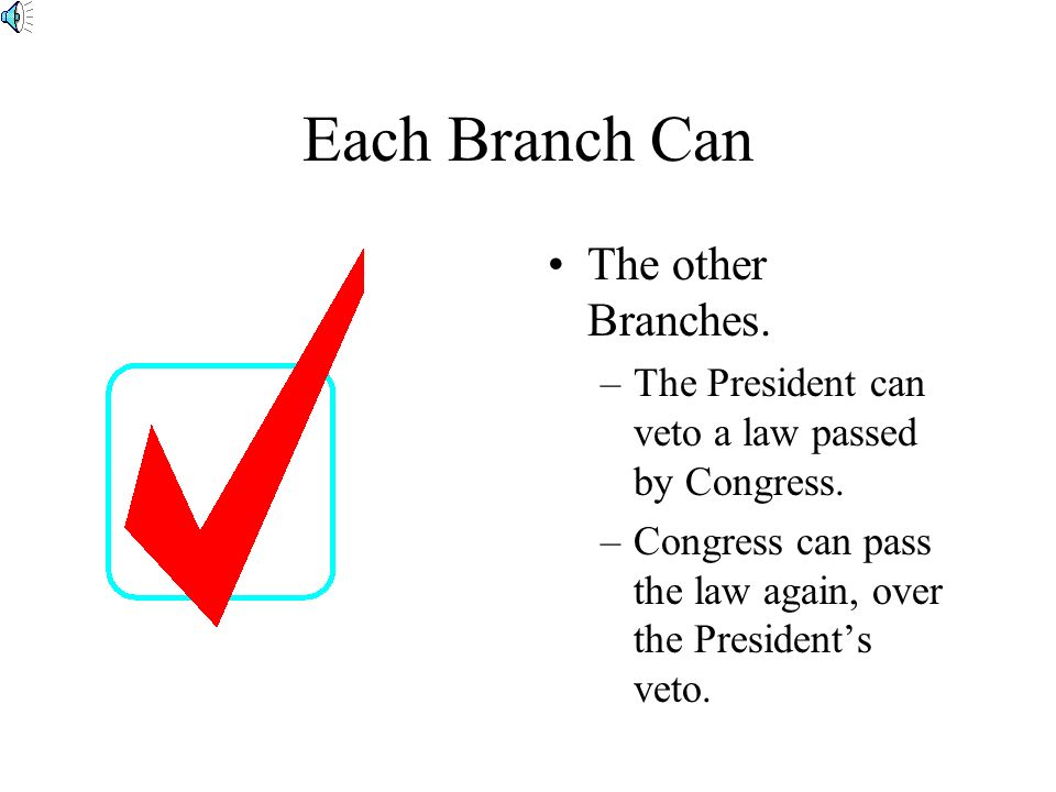 The Judicial Branch The Judicial Branch consists of the courts.