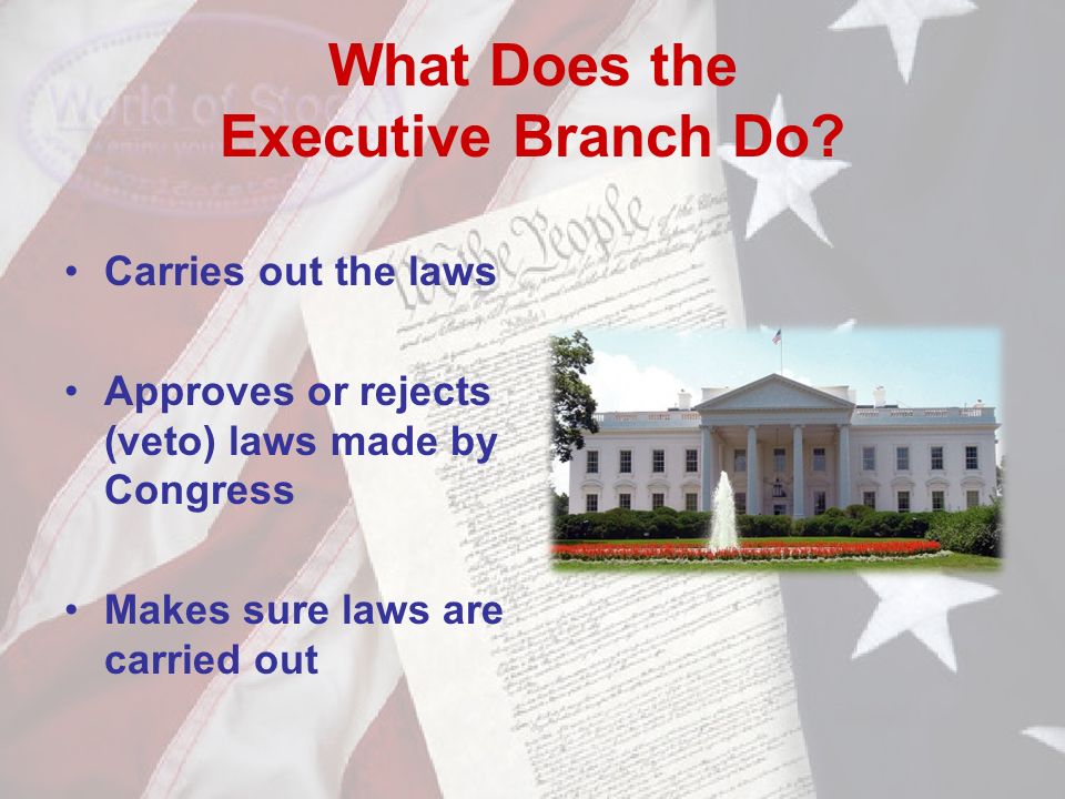 What Does the Executive Branch Do.