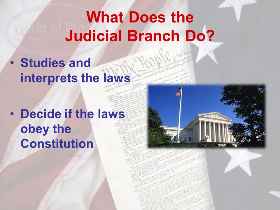 What Does the Judicial Branch Do.